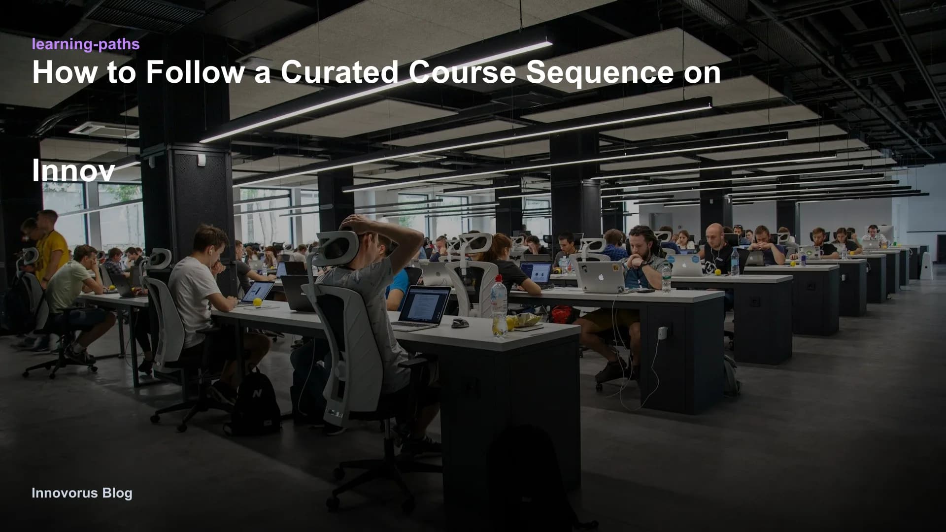 How to Follow a Curated Course Sequence on Innovorus from Beginner to Job Ready