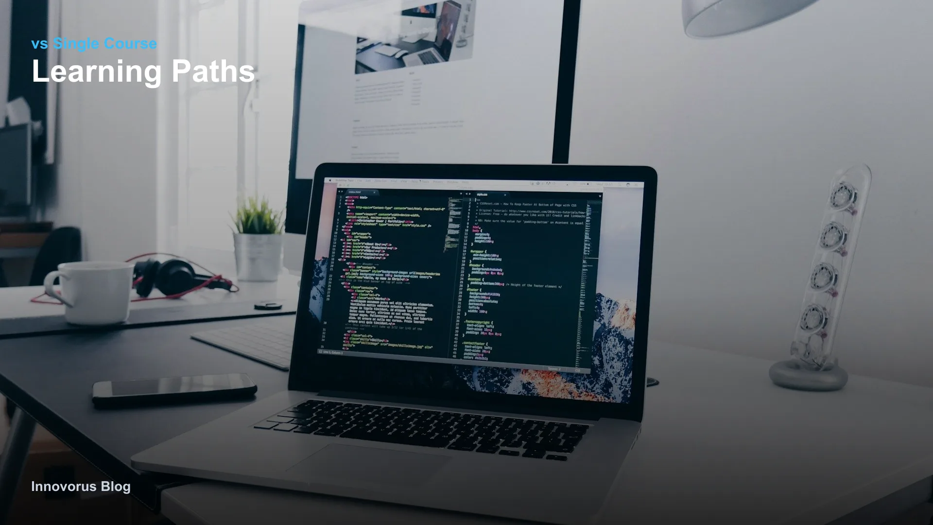Learning Paths vs Single LMS Courses: Which Should Students Choose? learning path LMS guide